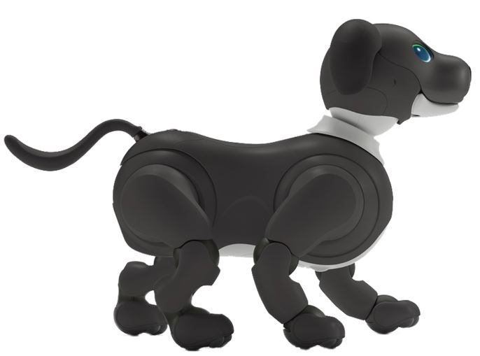 7 accessoires intelligents pour iPhone qui vont rendre fou votre chien