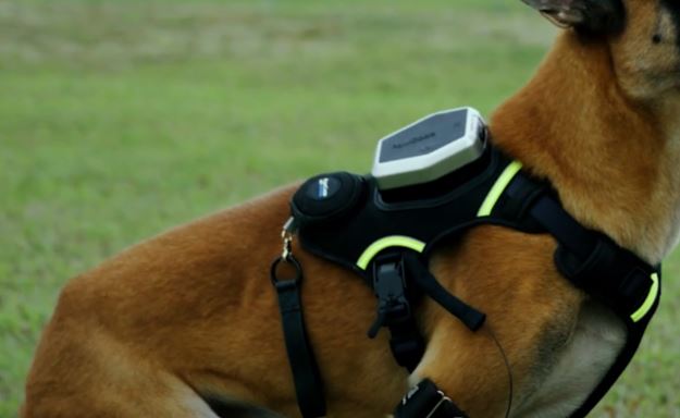 7 accessoires intelligents pour iPhone qui vont rendre fou votre chien