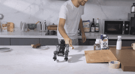 Chien robot XGO-mini2 AI Raspberry CM4 avec 12 degrés de liberté, prise en charge de la programmation Python