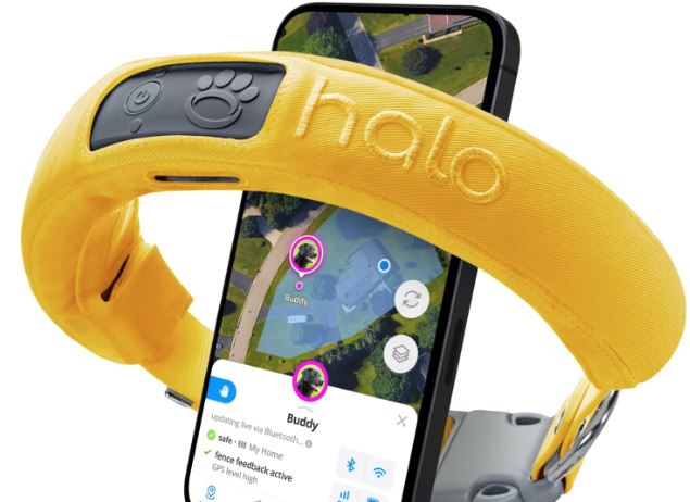 7 accessoires intelligents pour iPhone qui vont rendre fou votre chien