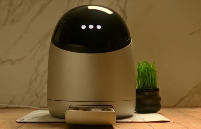 Distributeur de nourriture humide connecté Sphinx App avec reconnaissance faciale