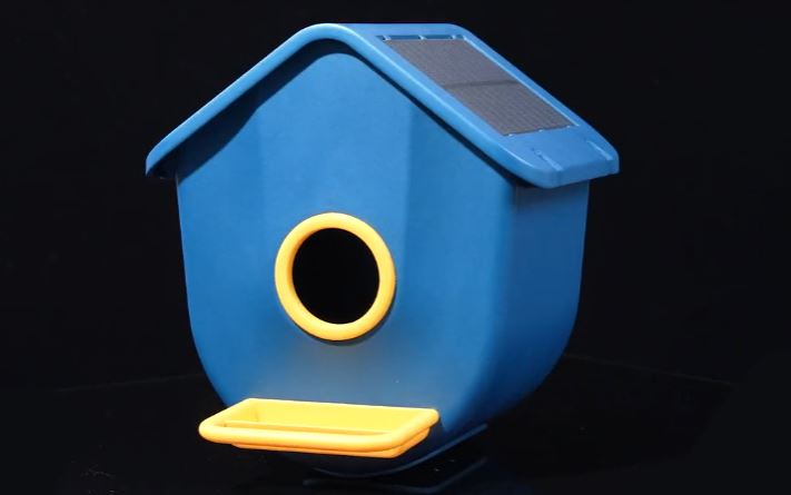 Trousse à oiseaux avec vision nocturne intelligente et dispositif anti-écureuil