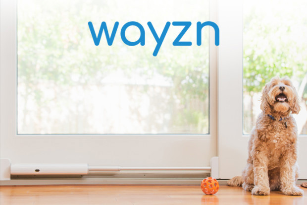 Wayzn transforme n’importe quelle porte en verre coulissante en une porte pour animaux contrôlée par application