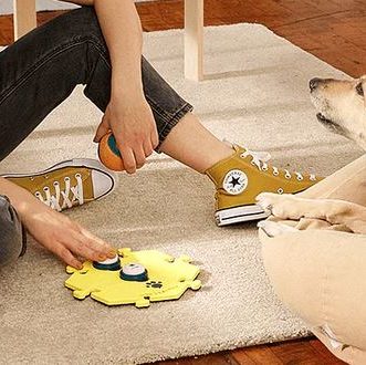7 accessoires intelligents pour iPhone qui vont rendre fou votre chien