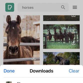 Télécharger des vidéos sur Safari avec un iPhone