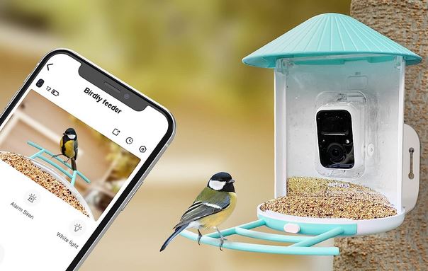 5 appareils photo de mangeoires à oiseaux intelligents connectés