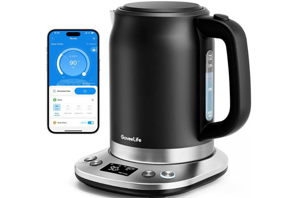 Bouilloire électrique compatible Alexa Govee Life avec application
