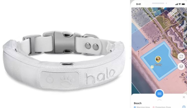 Collier intelligent Halo 2 pour chiens