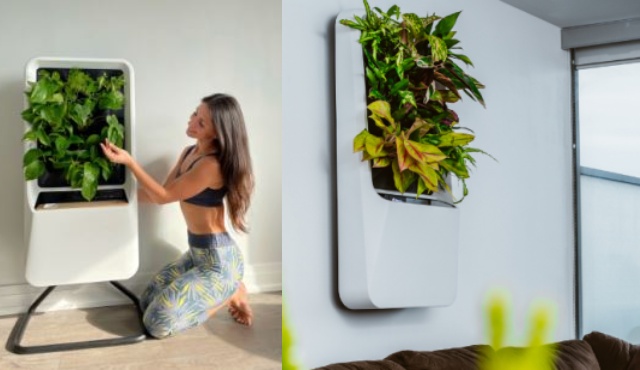 8 jardins intelligents intérieurs compatibles avec iPhone