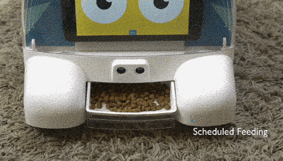 7 robots compatibles iPhone pour les animaux de compagnie