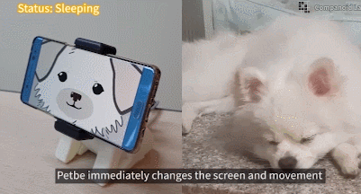 7 robots compatibles iPhone pour les animaux de compagnie