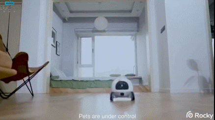 7 robots compatibles iPhone pour les animaux de compagnie