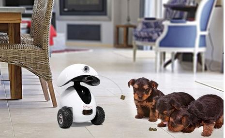 7 robots compatibles iPhone pour les animaux de compagnie