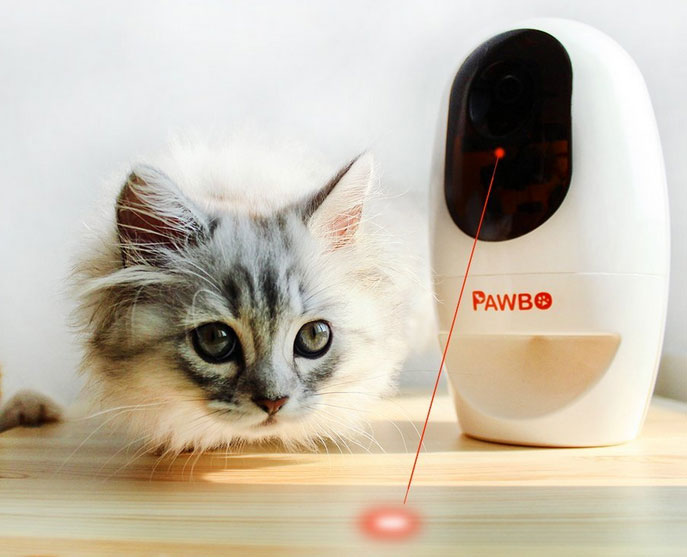 4 caméras de friandises pour animaux contrôlées par application