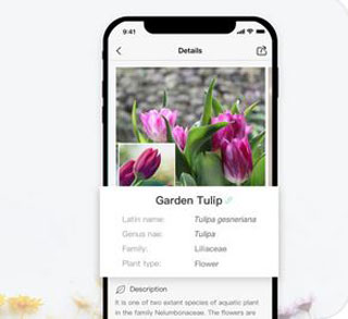 Les 25 meilleures applications d’intelligence artificielle pour iPhone et iOS