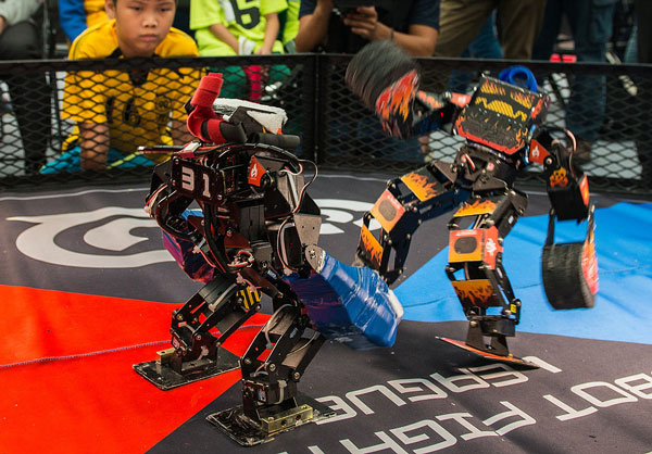 8 robots de jeu intelligents ultra-cools pour application intelligente