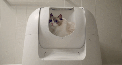 3 toilettes intelligentes pour chiens et caisses de litière pour chats haut de gamme