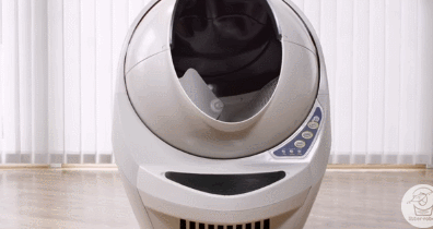 3 toilettes intelligentes pour chiens et caisses de litière pour chats haut de gamme