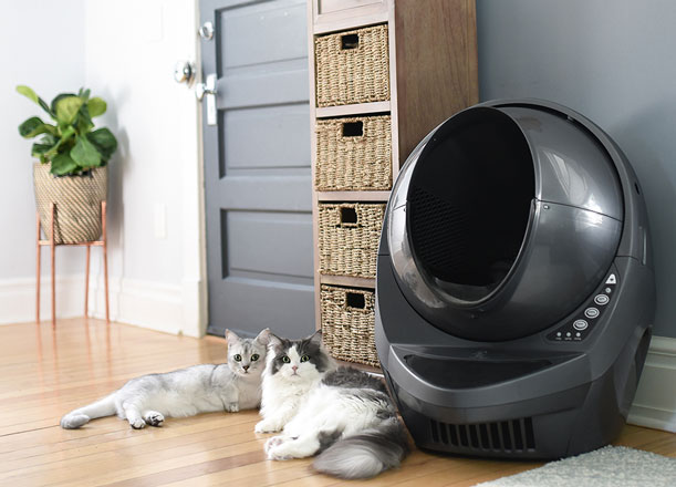 3 toilettes intelligentes pour chiens et caisses de litière pour chats haut de gamme
