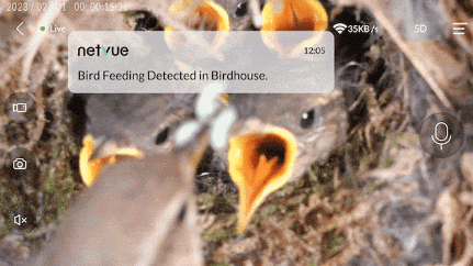 5 appareils photo de mangeoires à oiseaux intelligents connectés