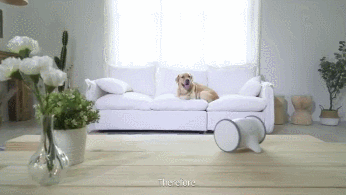 7 robots compatibles iPhone pour les animaux de compagnie