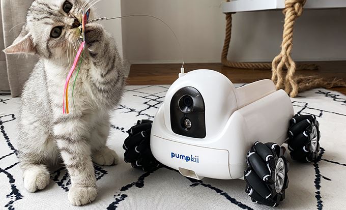 7 robots compatibles iPhone pour les animaux de compagnie