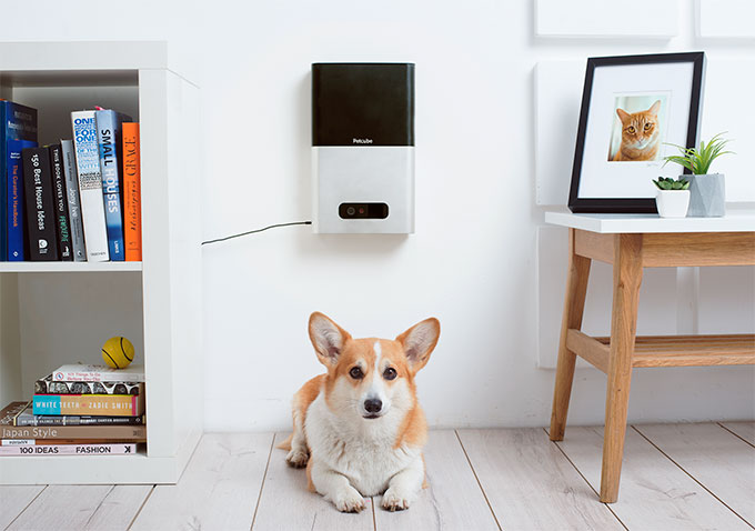 Caméra de friandises intelligente pour animaux de compagnie