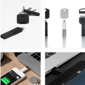 Arbre solaire Ginkgo pour iPhone, chargeur IPPINKA sous forme de clé