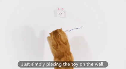 7 jouets intelligents et accessoires de smartphone pour les amoureux des animaux de compagnie