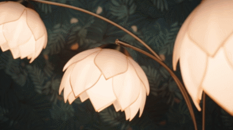 Lumières vivantes Lotus – Application connectée pour l’éclairage en mouvement