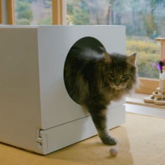 Boîte à litière automatique SCUBIC Plus grande avec application