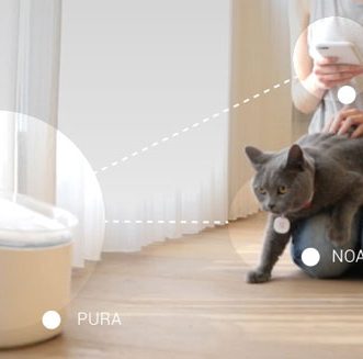 Fontaine d’eau pour chats avec application
