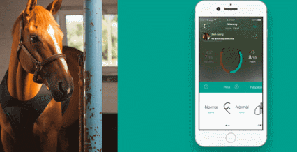 5 applications intelligentes de suivi pour chevaux