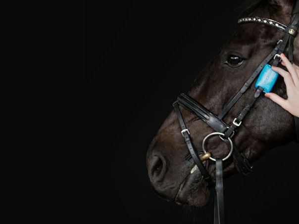 5 applications intelligentes de suivi pour chevaux