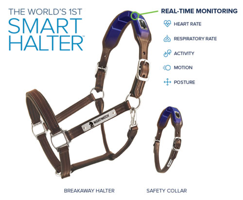 5 applications intelligentes de suivi pour chevaux