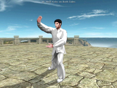5 applications de Tai Chi sympas pour iPad