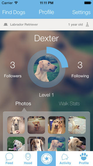 4 applications de parcs pour chiens de haute qualité pour iPhone