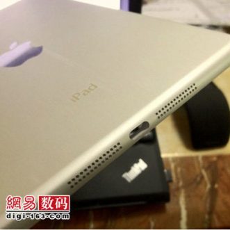 Des photos du dos de l&rsquo;iPad Mini ont-elles fuité ?