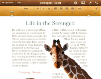 Les meilleures applications professionnelles pour iPad – Applications iPad pour les entreprises