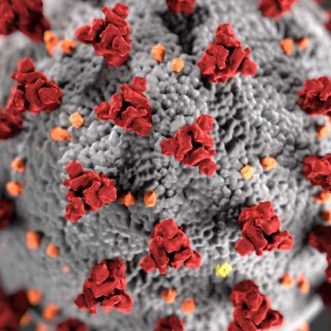 Combien de temps le coronavirus/COVID-19 peut-il survivre sur mon iPhone ou autre smartphone ?
