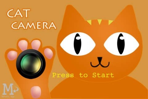 4 applications de caméra pour chats