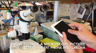 5 adaptateurs de microscope pour iPhone