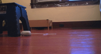 5 jouets interactifs pour chats améliorés par smartphone