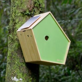 Maison d&rsquo;oiseau intelligente Birddy App avec diffusion en direct, identification d&rsquo;oiseaux et ChatGPT