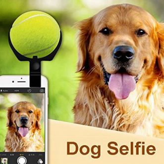 3 accessoires pour prendre des selfies avec votre animal de compagnie sur votre smartphone
