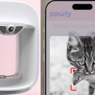 Porte connectée pour chat avec détection de proies