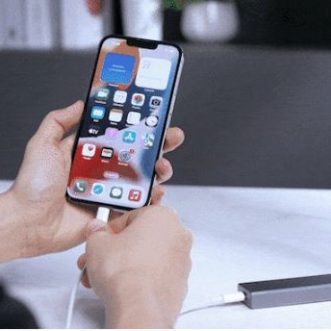 Disque SSD portable Tiburn X2000 compatible iPhone (2000Mo/s)