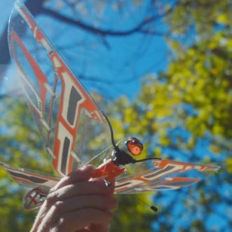 Oiseau robotique biomimétique X-Fly télécommandé par application (48 km/h)
