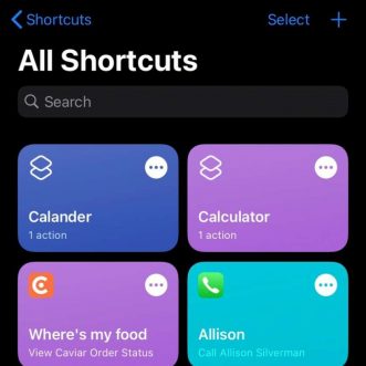 Comment modifier les icônes des applications à l’aide de Raccourcis sur mon iPhone ou iPad ?