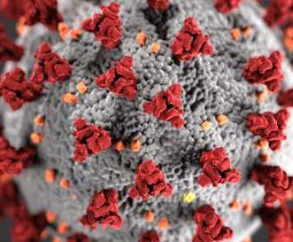 Mon protecteur d’écran iPhone antimicrobien ou mon étui me protégeront-ils du coronavirus ?